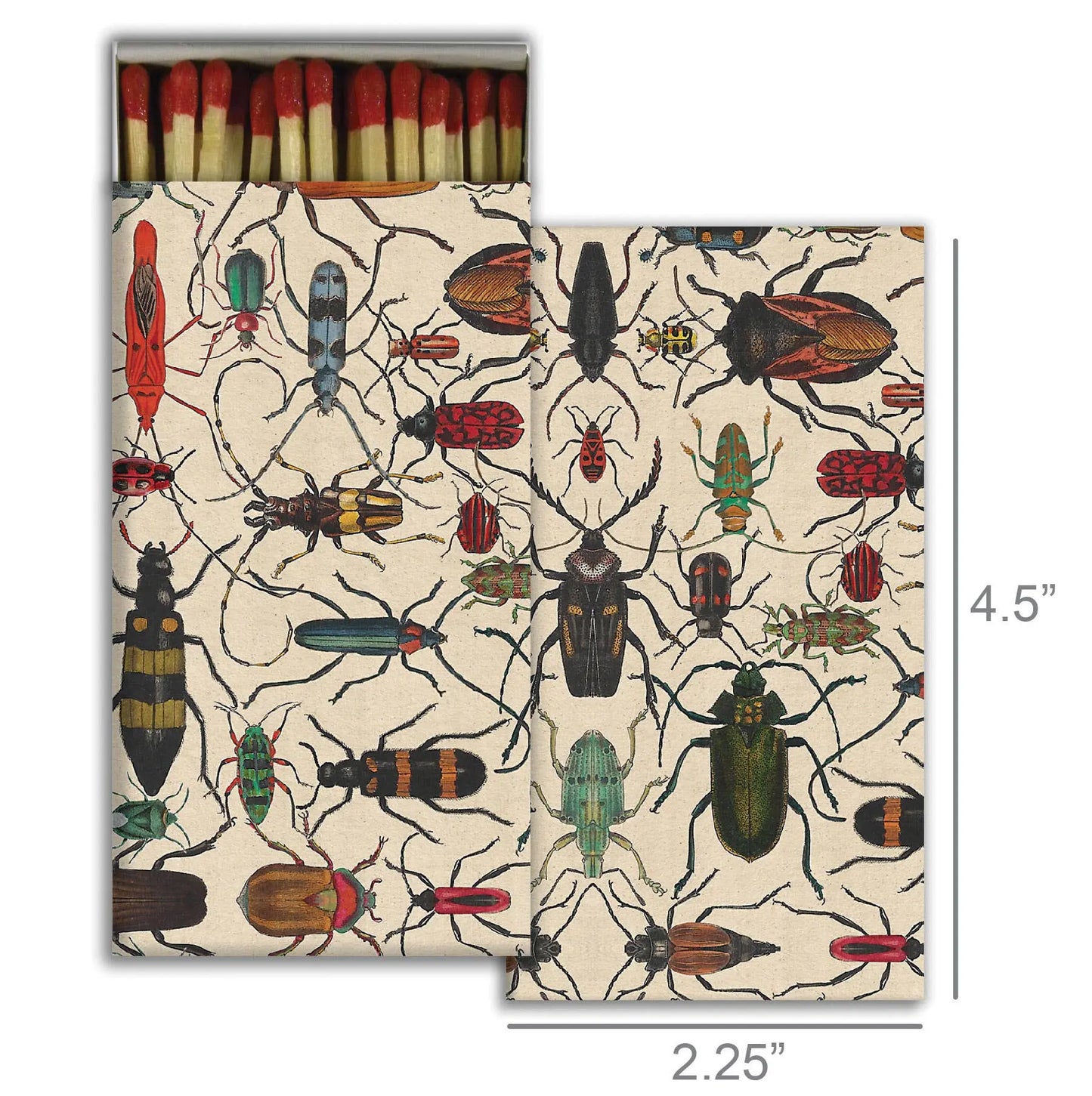 Matches - Mixed Beetles HomArt