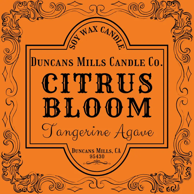 Citrus Bloom soy wax candle with tangerine and agave notes by Duncans Mills Candle Co.