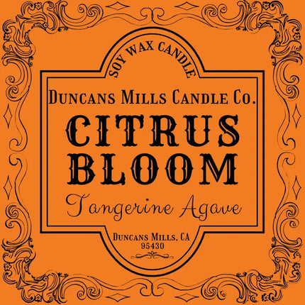 Citrus Bloom Soy Wax Candle | Tangerine Agave Duncans Mills Candle Co.
