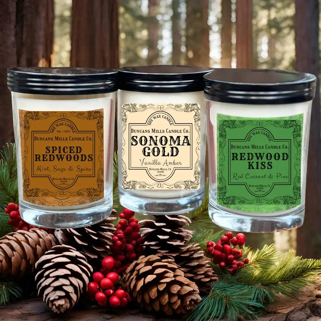 Wrapped Packages in a Redwood Forest
