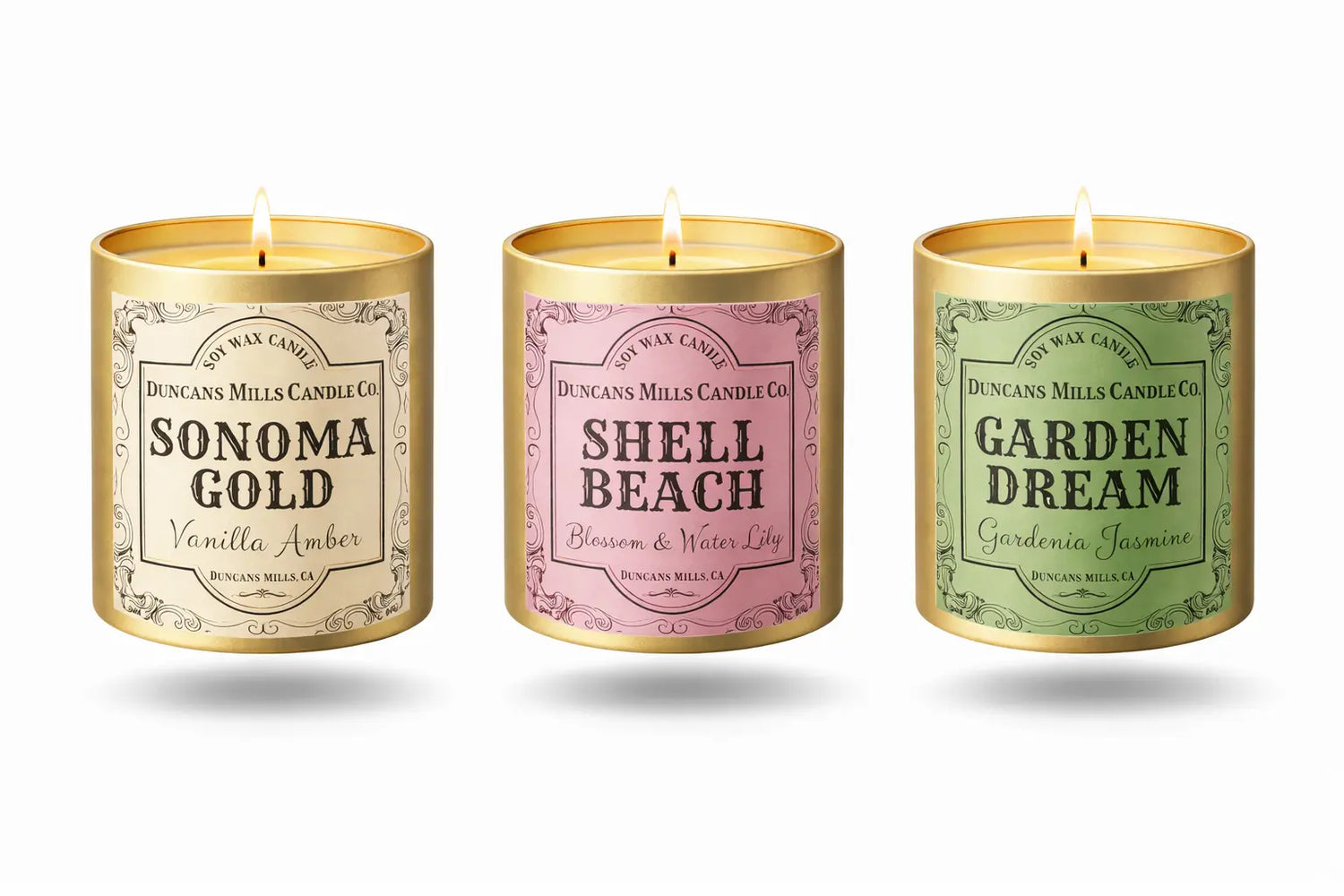 InfinityTin Collection of New Scents including Sonoma Gold, Shell Beach and Garden Dream