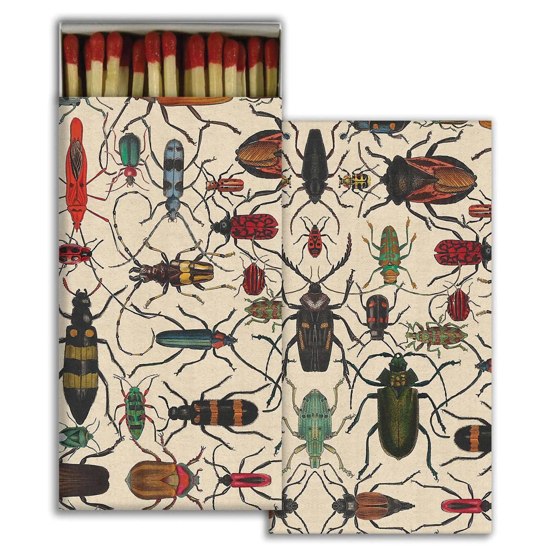 Matches - Mixed Beetles HomArt