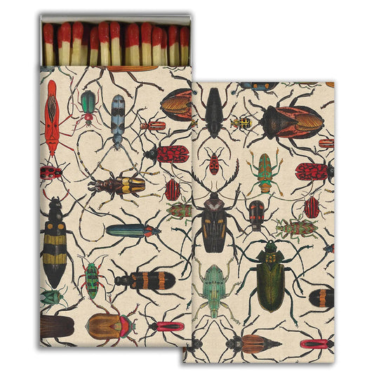 Matches - Mixed Beetles HomArt