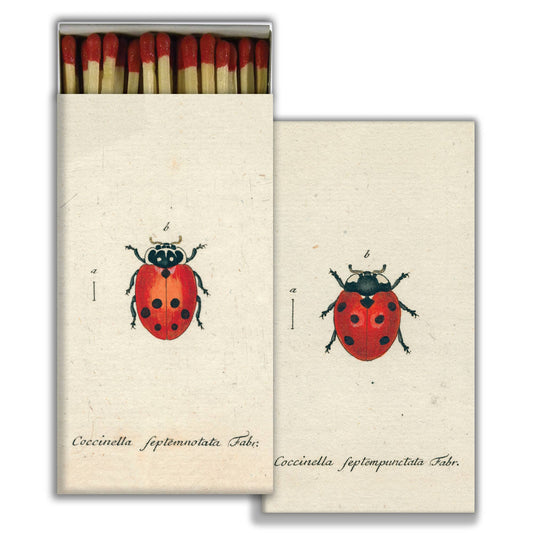 Little Lady Bug & Red Lady Bug