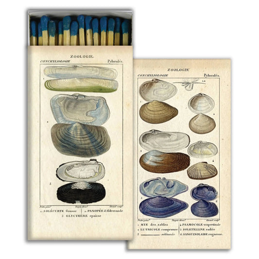 Matchbox with illustrations of shells on a white background