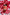 Bodega_Bay_Cafe_Glass_amongst_flower_petals_2