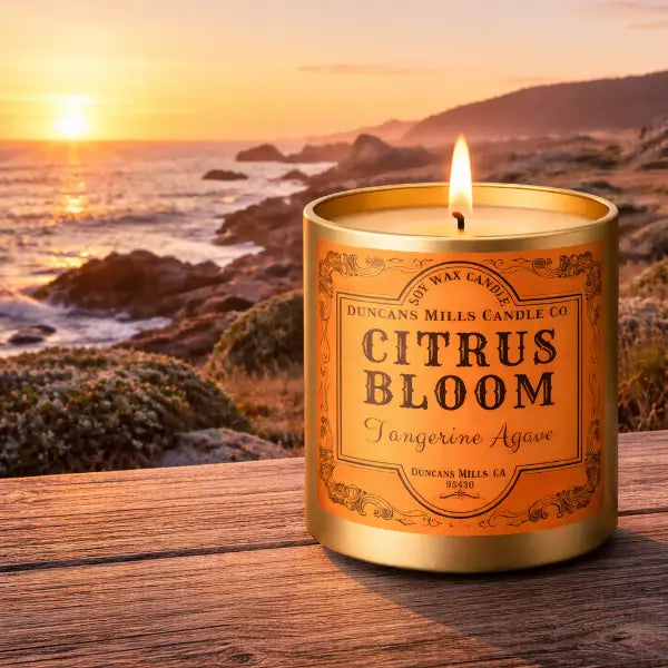 Candle labeled 'Citrus Bloom' on a wooden surface with a scenic ocean view at sunset.