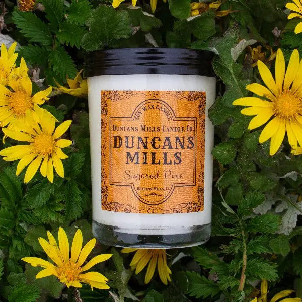 Duncans Mills Soy Wax Candle on a bed of daisies.