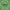 Duncan's Mills Candle Co. Forest Ville Balsam Bergamot candle label on a green background