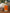 Linen Room Spray Bottle Citrus Bloom