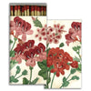 Matches in matchbox with geranium design