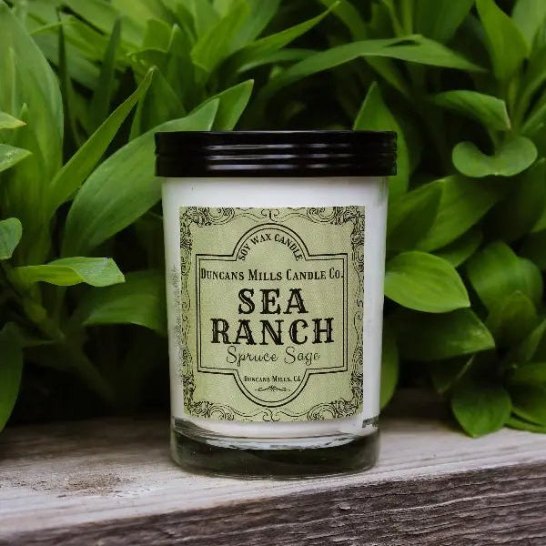 Sea Ranch soy wax candle with spruce and sage notes in gold tin by Duncans Mills Candle Co.