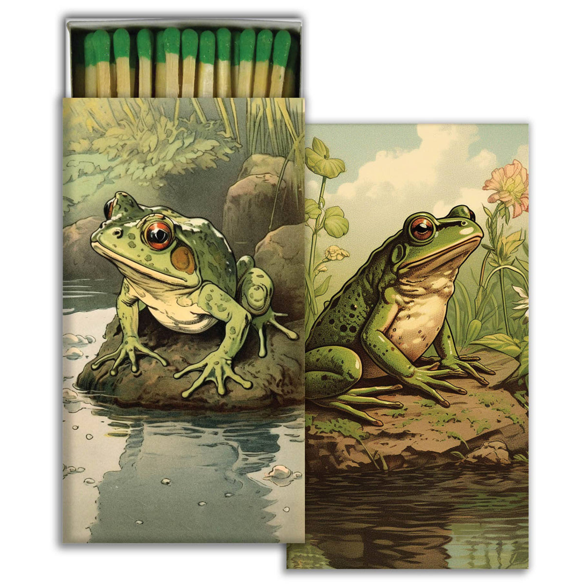 Vibrant Toads