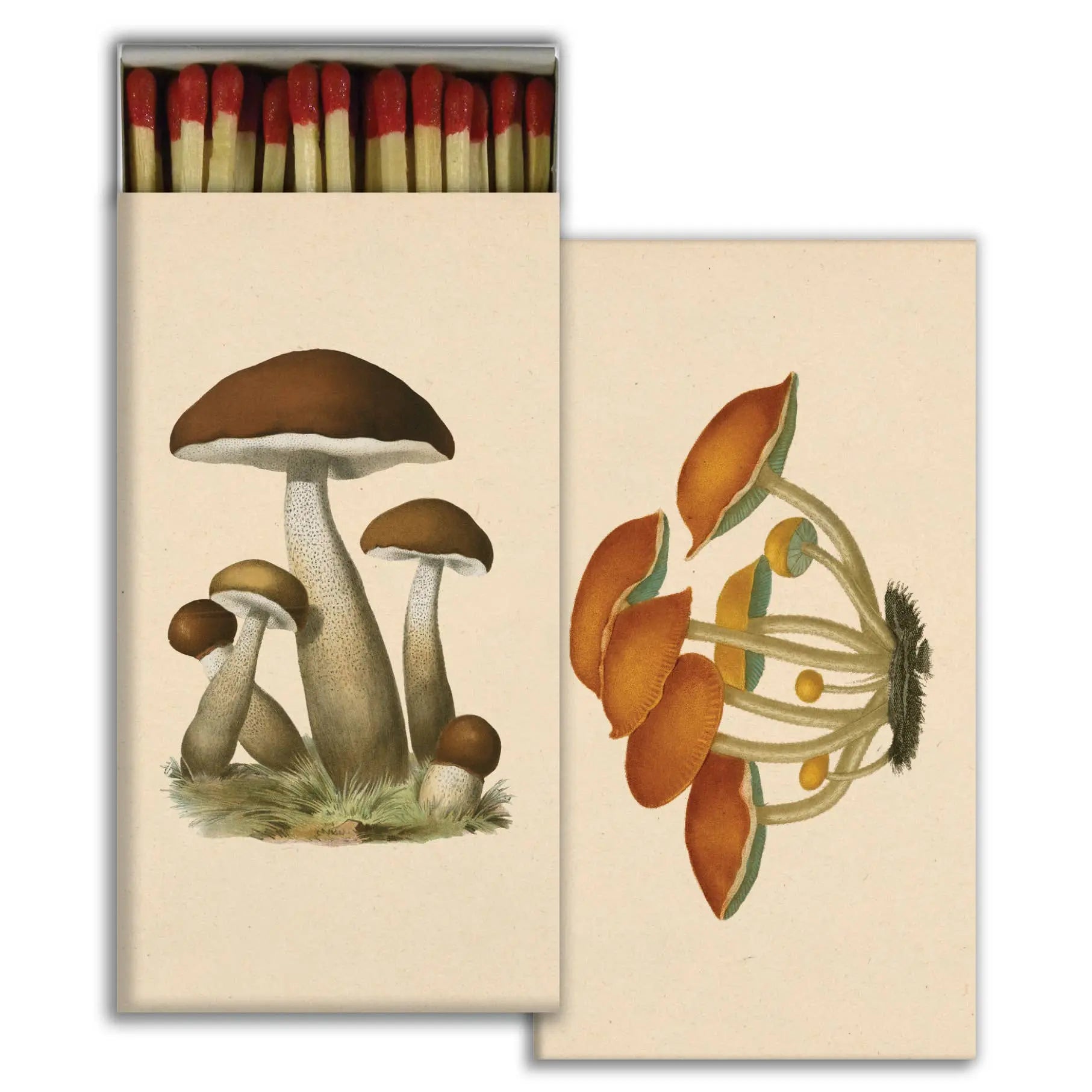Match - Mushrooms - Duncans Mills Candle Co.